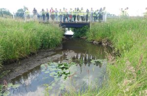 007 Sprzatanie_terenow_nadwodnych_w_Ulanie-Majoracie_wynik