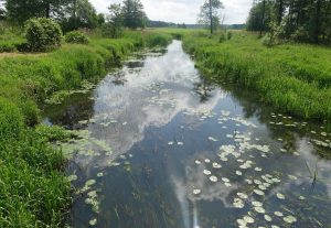 010 Sprzatanie_terenow_nadwodnych_w_Ulanie-Majoracie_wynik