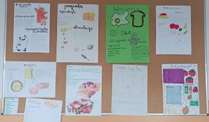 331798300_911643533377866_8924066825920969727_n