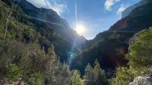 335634866_933086401208463_919027974252439011_n