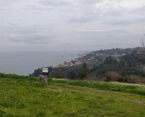 335940120_757253116022132_3953292774092184442_n_wynik