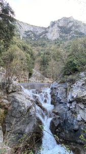 336182374_703625068222999_2534879147669741388_n