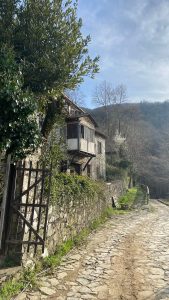 336186587_6704345086258579_7047781956878750920_n