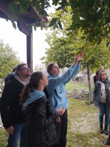 336196009_930491651700111_422697295654066884_n