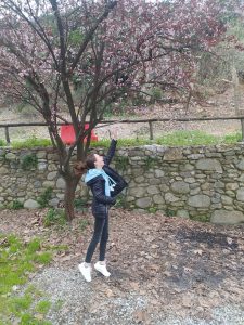 336262575_1251918665756500_381132858303016042_n