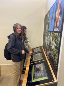 336662988_715360616937068_2492830936697773904_n