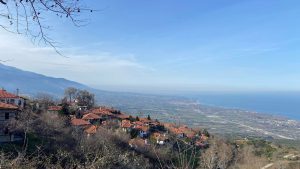 336714994_213053014647513_2177939460172931613_n