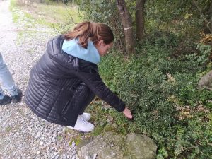 336741863_613861633419472_591971820898059033_n