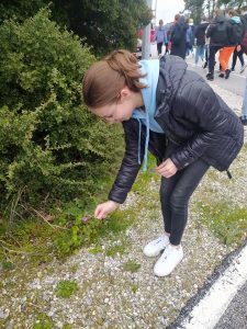 336764737_900643031209509_4149605754884106405_n