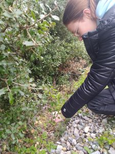 336768070_140200392314861_299785785263173366_n