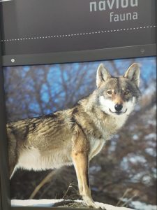 336787314_174485778707788_3927213162202065368_n