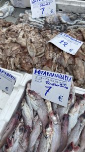 350630100_639421934322547_6982827002134353587_n