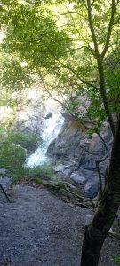 438782716_396082843270824_4663277845787093542_n