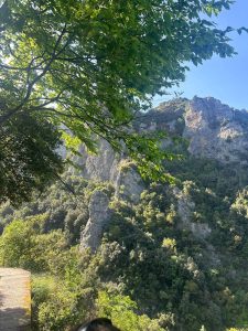 438872051_396083043270804_6064434730772479415_n