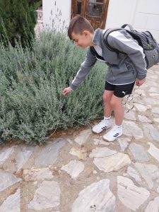 440388181_396082129937562_3062817321391655800_n