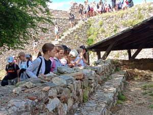 440450431_396096186602823_1865593883353217986_n