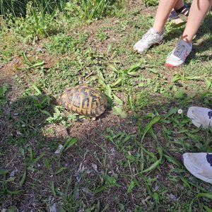 440572093_396082653270843_5756878531402190474_n