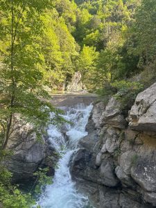 440592850_396082499937525_6867238872089399846_n