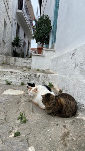 440743625_397331853145923_7443785004847740337_n