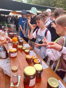 441462832_411483678397407_4245119165034993435_n