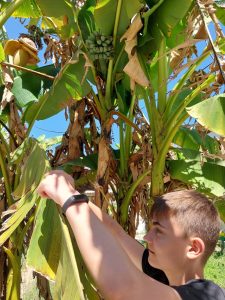 441464338_411484258397349_8009823313404985057_n