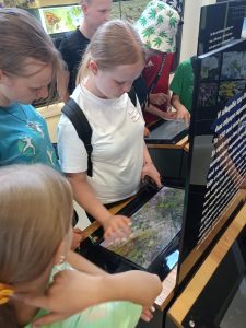 442406927_412829228262852_5237160314828342756_n