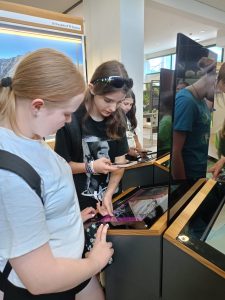 442425270_412829728262802_3958123383500308115_n