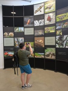 442441300_412829471596161_6098731610296826494_n