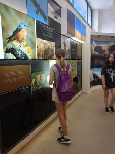 442465012_412829598262815_2120311698728680499_n