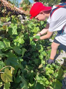 442476861_411485015063940_468054974140596383_n