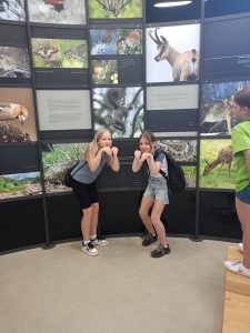 442502508_412829851596123_6645678865129956068_n