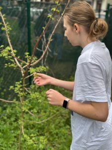 486922204_624649873747452_700920787769899210_n