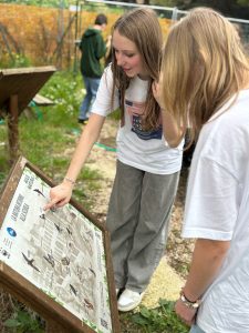 487021255_624649833747456_1629624262278383807_n