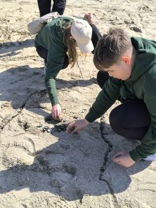 487048172_621482030730903_7554250379607886874_n