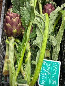 487063974_620882127457560_443849010847045128_n