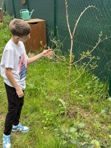 487454235_624649897080783_2310525200341346462_n