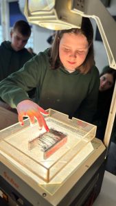 488058429_624648620414244_6412144169801207689_n