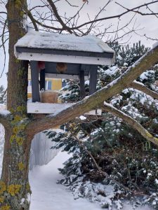 WhatsApp Image 2023-12-05 at 15.35.00 (1)