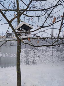 WhatsApp Image 2023-12-05 at 15.35.00