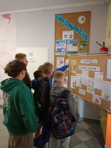 Zdjęcie WhatsApp 2025-06-25 o 10.39.21_5eedb40e