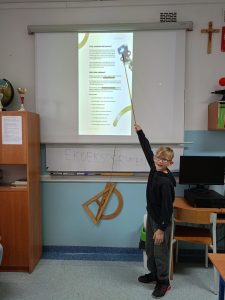 Zdjęcie WhatsApp 2025-06-25 o 10.39.23_997a7d16